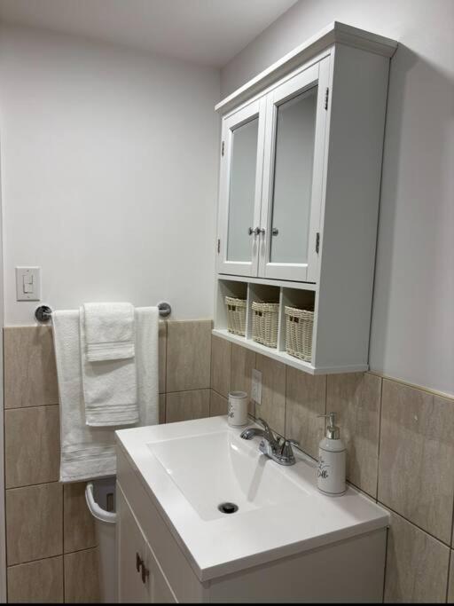 Cozy Spacious Work Friendly Lotus With Garden View High Speed Free Wi Fi And Parking Adjacent To Downtown Montreal Montréal Exterior foto