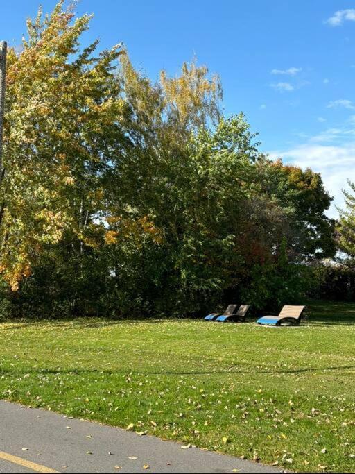 Cozy Spacious Work Friendly Lotus With Garden View High Speed Free Wi Fi And Parking Adjacent To Downtown Montreal Montréal Exterior foto